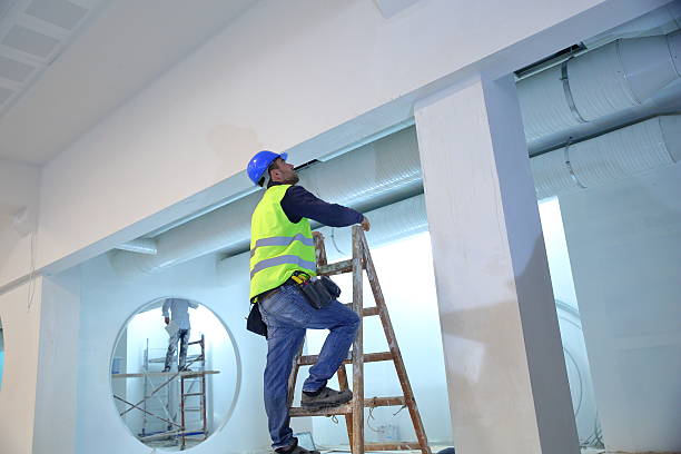 Best Emergency Mold Remediation  in Mcallen, TX